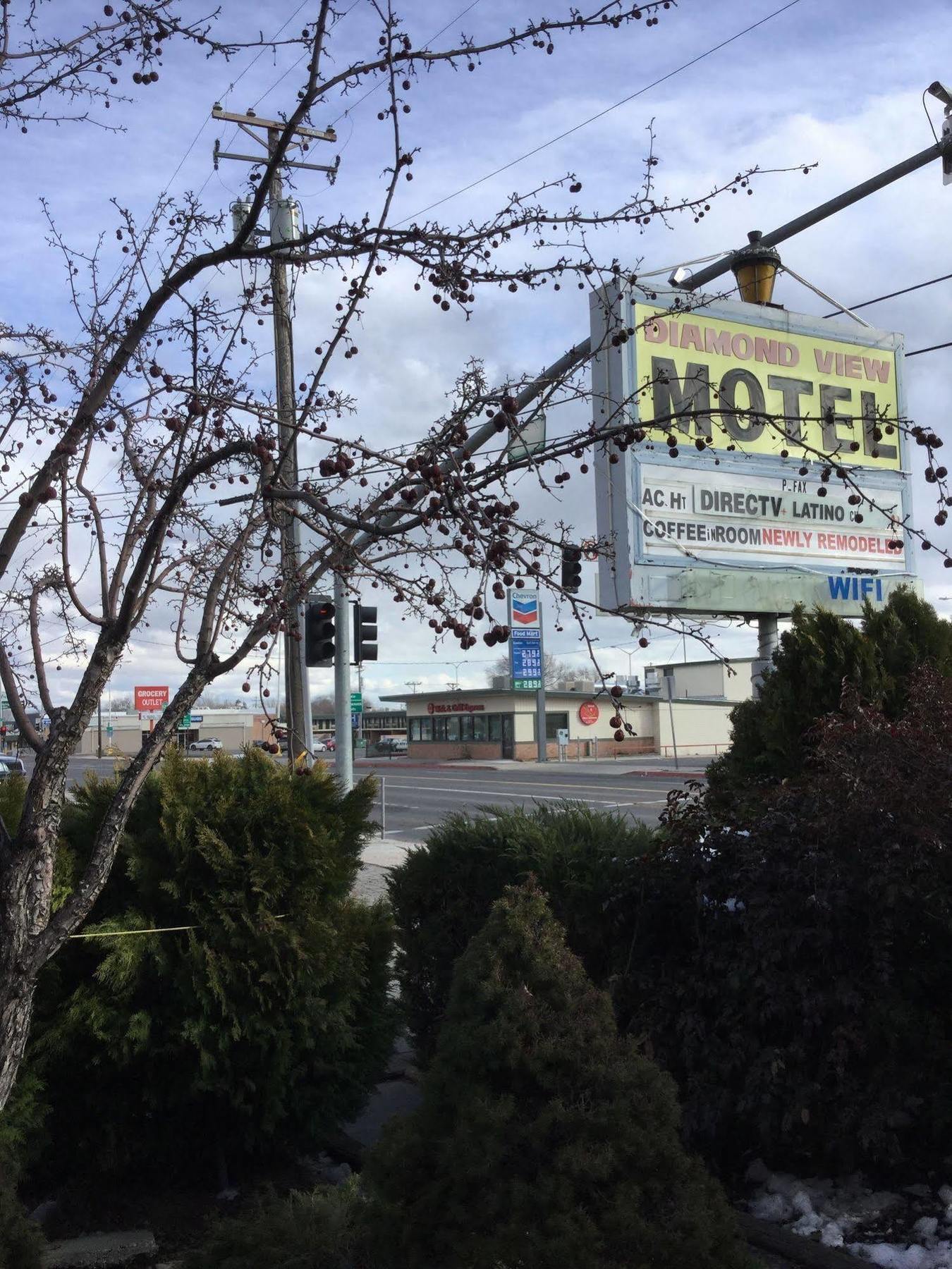 سوسانفيلي Diamond View Motel المظهر الخارجي الصورة