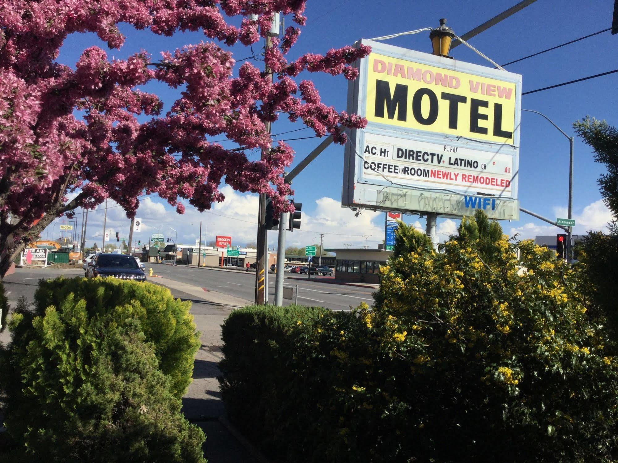 سوسانفيلي Diamond View Motel المظهر الخارجي الصورة
