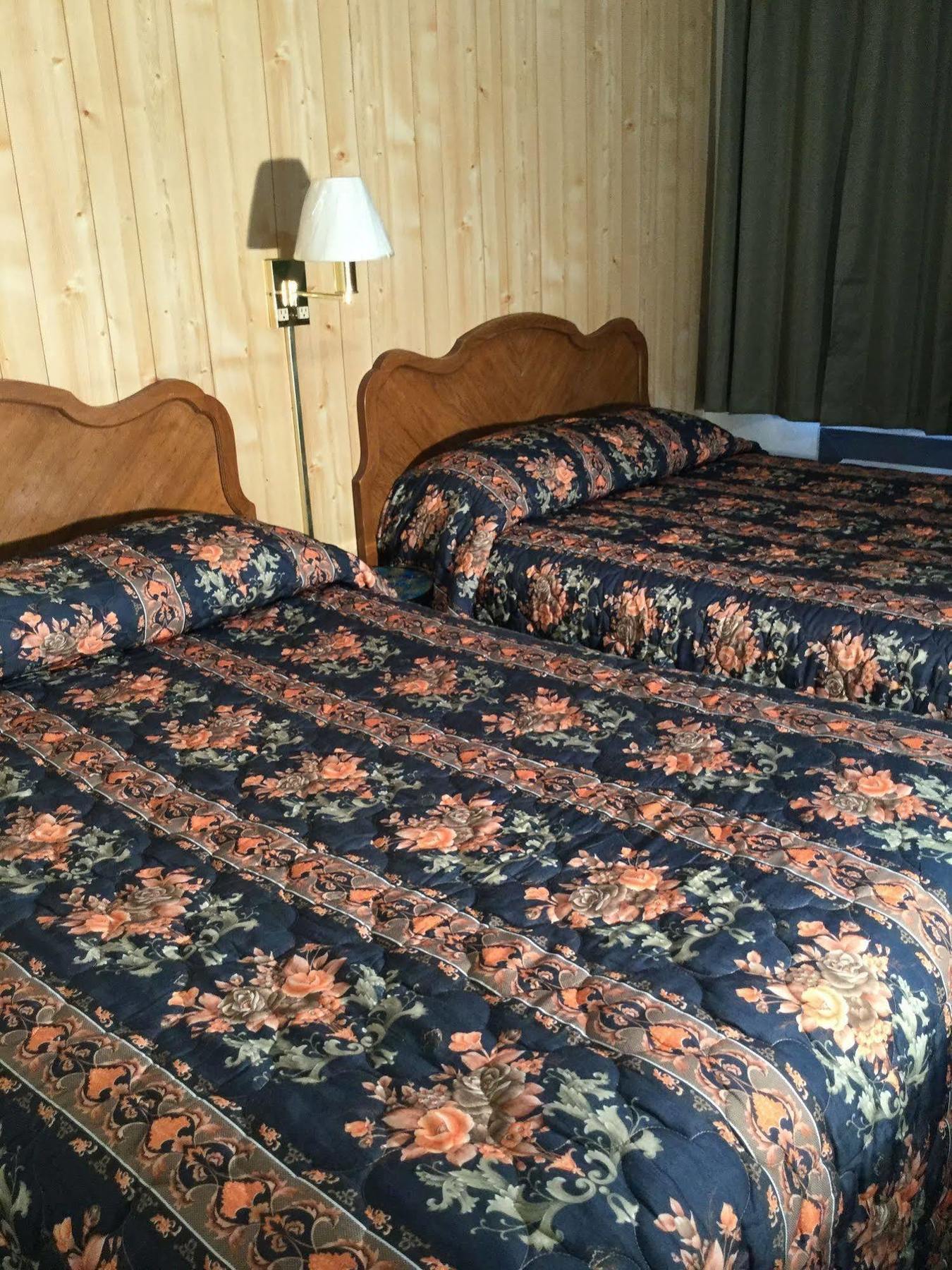 سوسانفيلي Diamond View Motel المظهر الخارجي الصورة