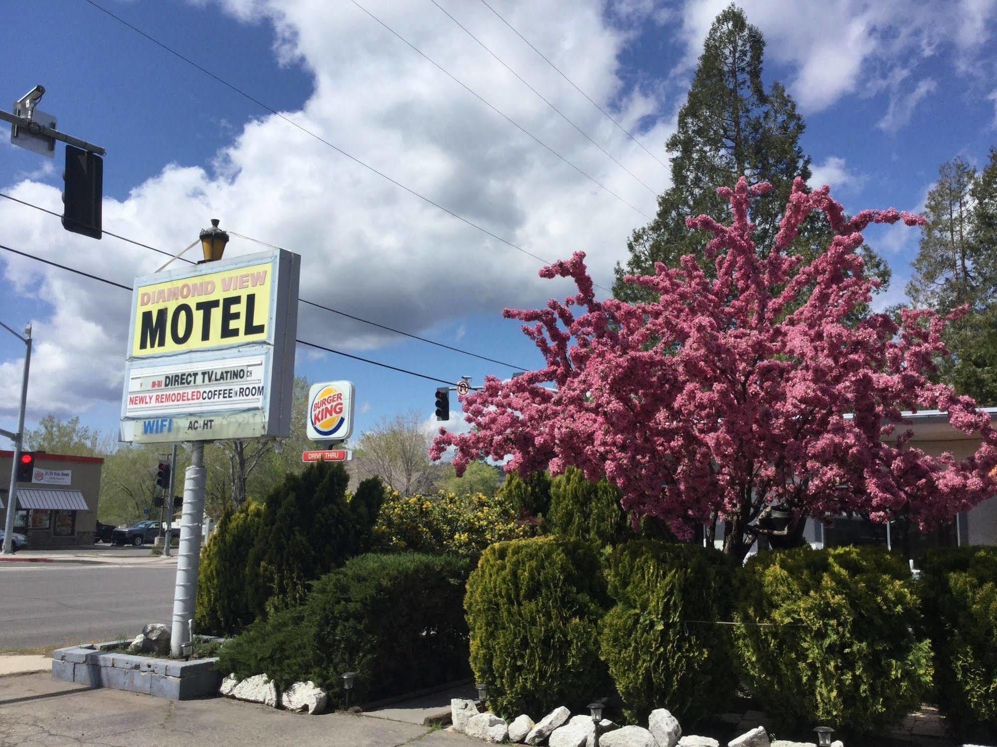 سوسانفيلي Diamond View Motel المظهر الخارجي الصورة